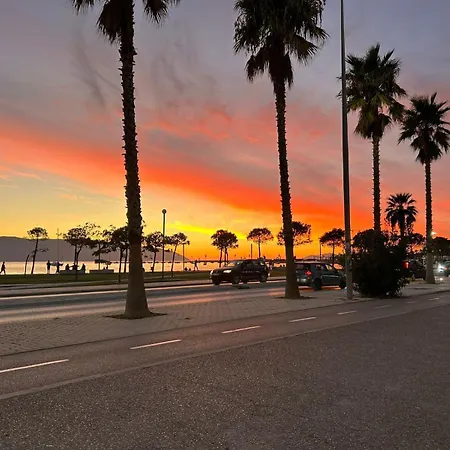 Olsi * Vlorë